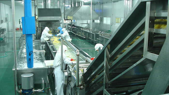 Fruit and Vegetable Pre-Processing Line