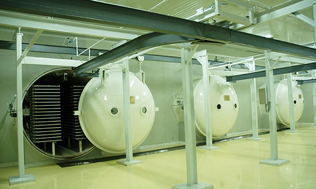 Experienced Freeze drying technology Machine Freeze Dryer