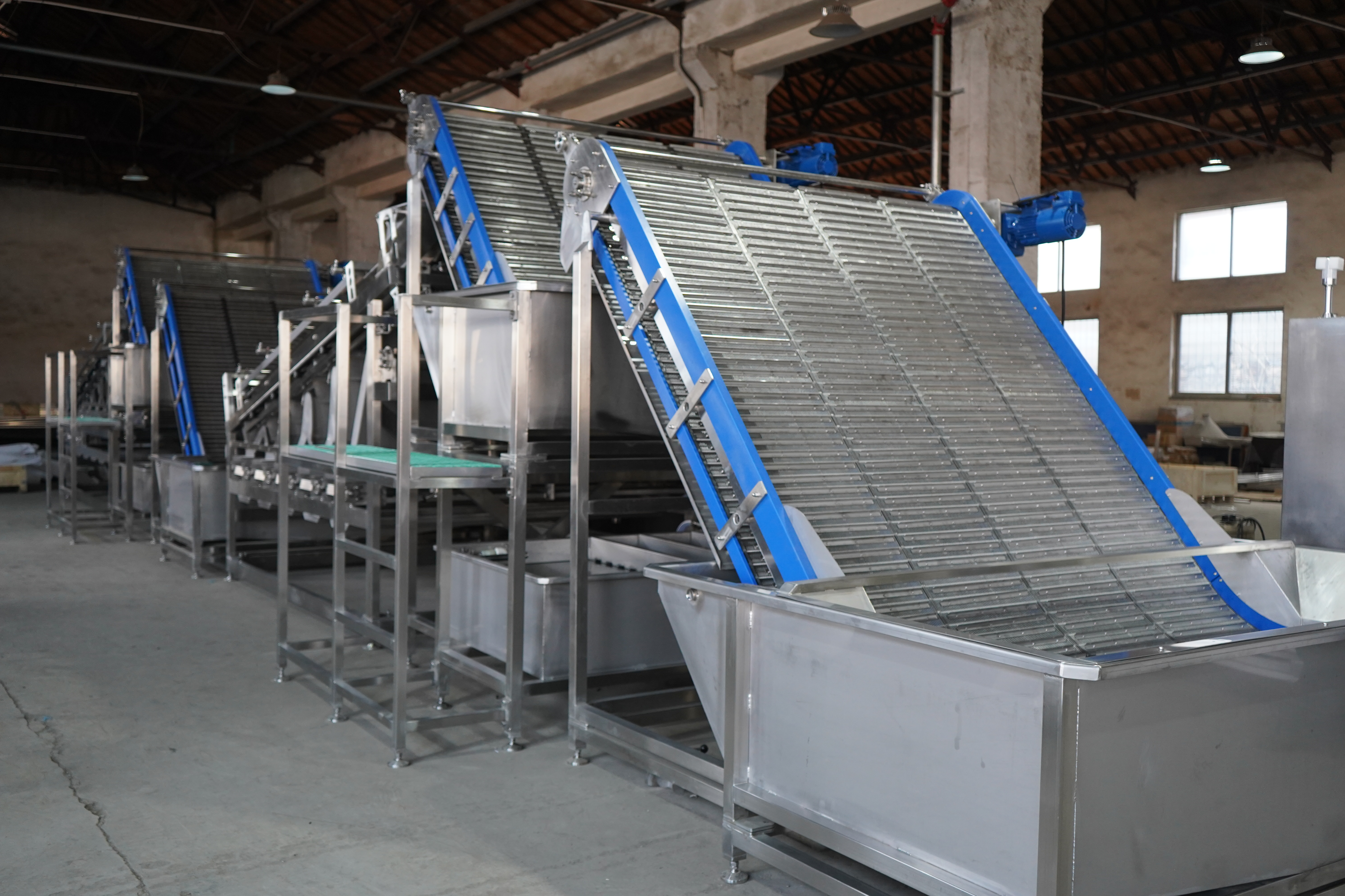 Shrimp grading machine